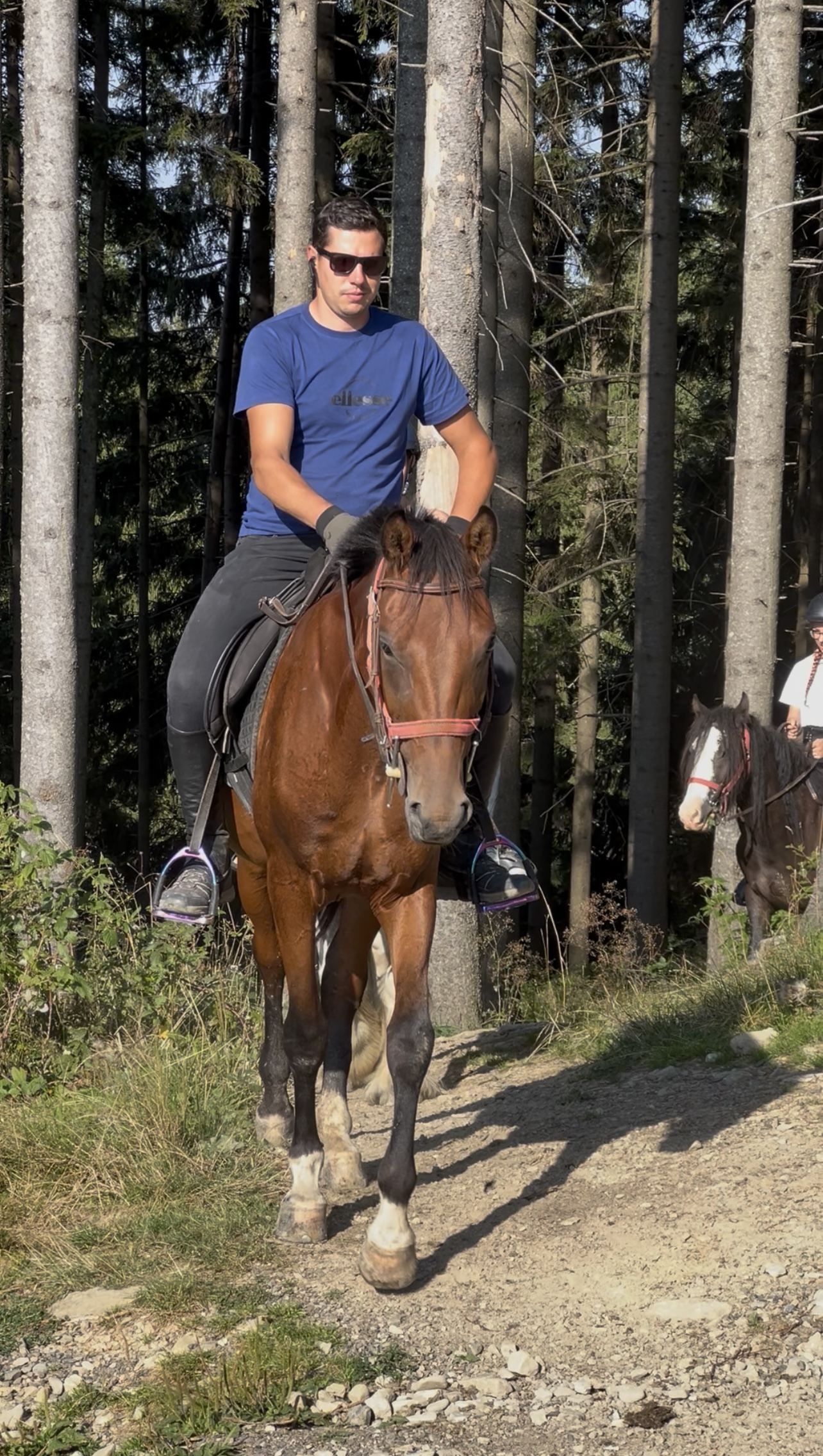 Echitatie pasul palma – Spirit 02 Echitatie pasul palma - Spirit 02