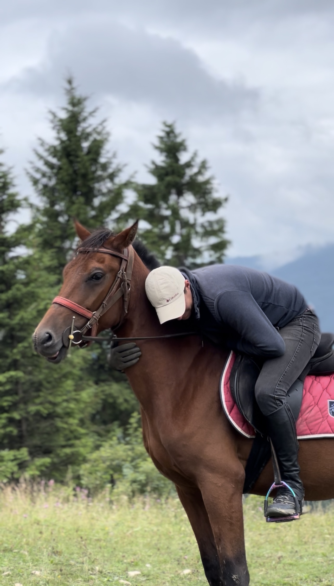 Echitatie pasul palma – Spirit 11 Echitatie pasul palma - Spirit 11