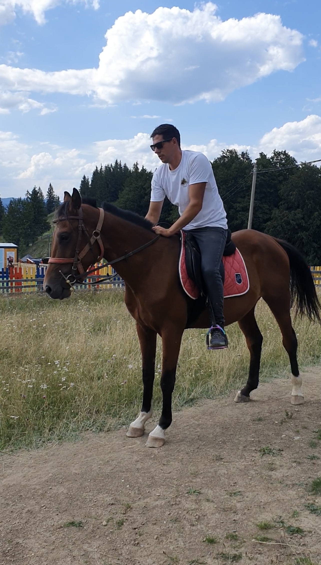 Echitatie pasul palma – Spirit 12 Echitatie pasul palma - Spirit 12