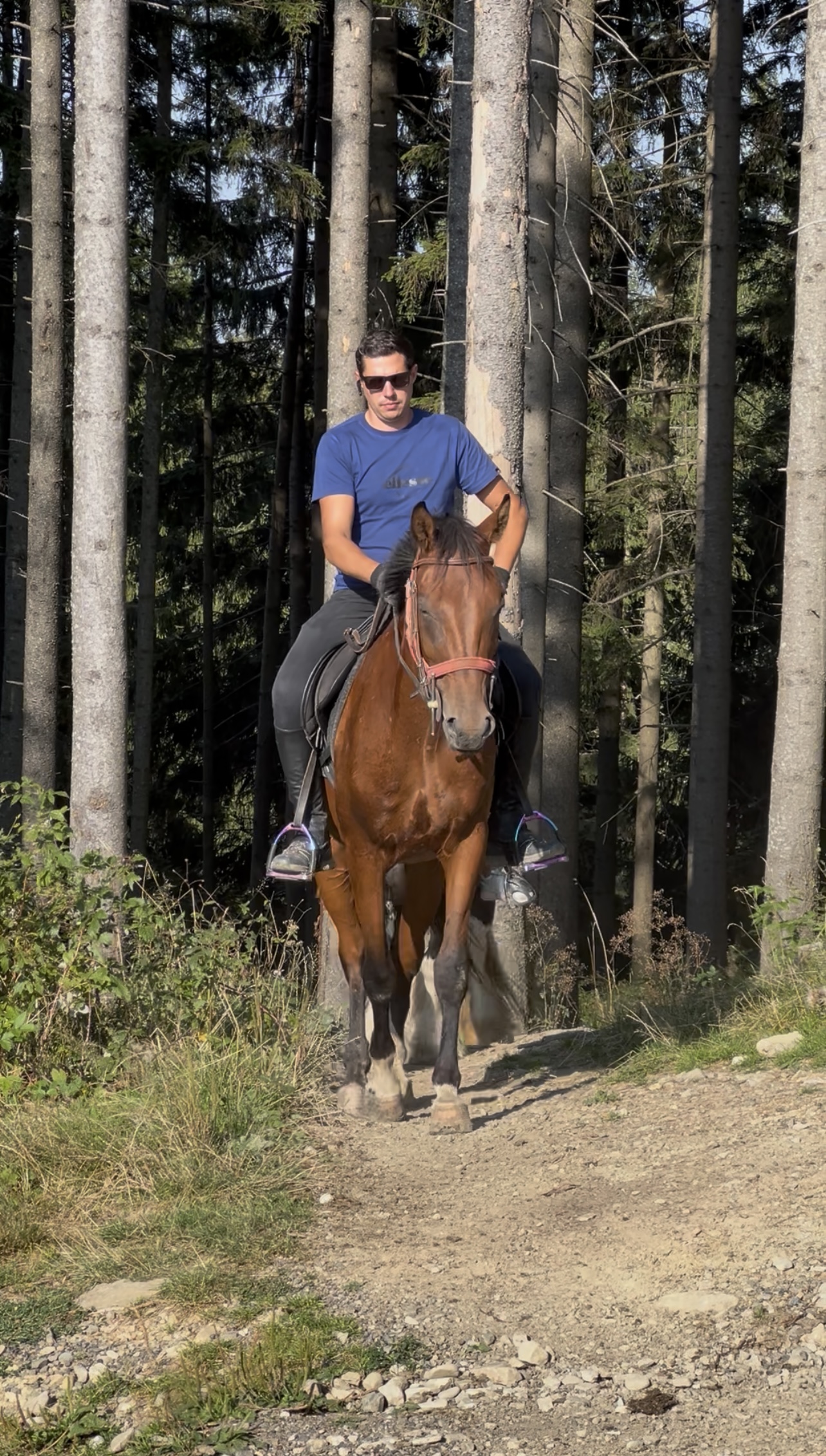 Echitatie pasul palma – Spirit 03 Echitatie pasul palma - Spirit 03