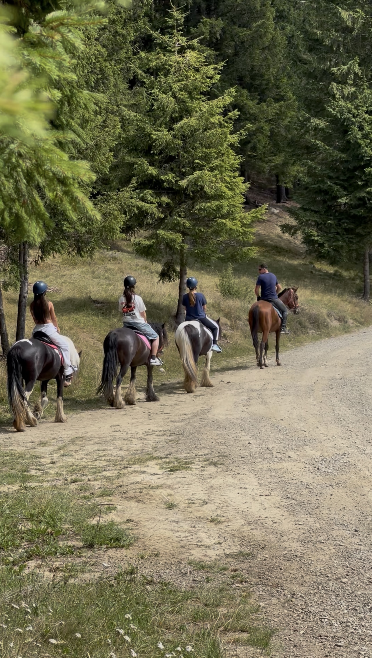 Echitatie pasul palma – Spirit 04 Echitatie pasul palma - Spirit 04