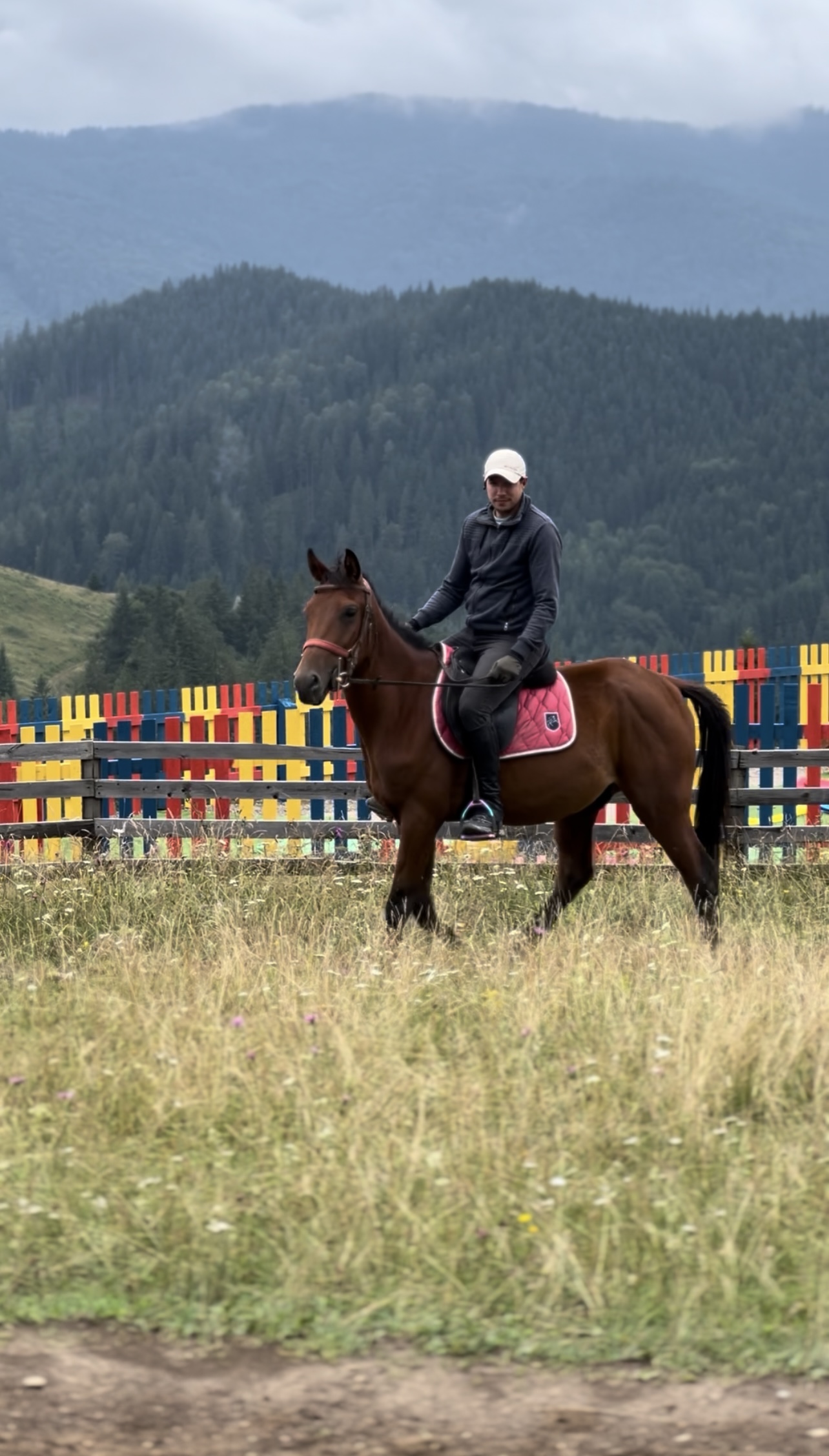 Echitatie pasul palma – Spirit 07 Echitatie pasul palma - Spirit 07