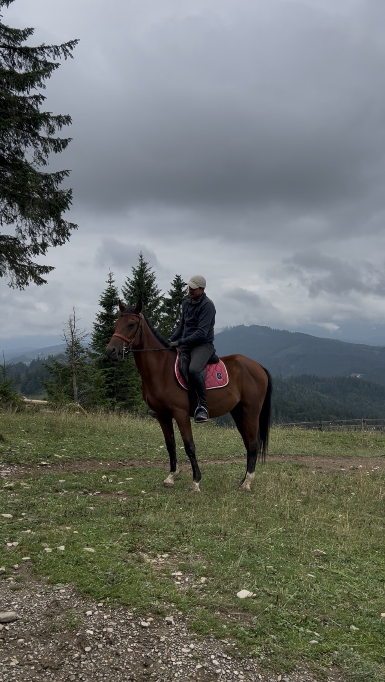 Echitatie pasul palma – Spirit 08 Echitatie pasul palma - Spirit 08