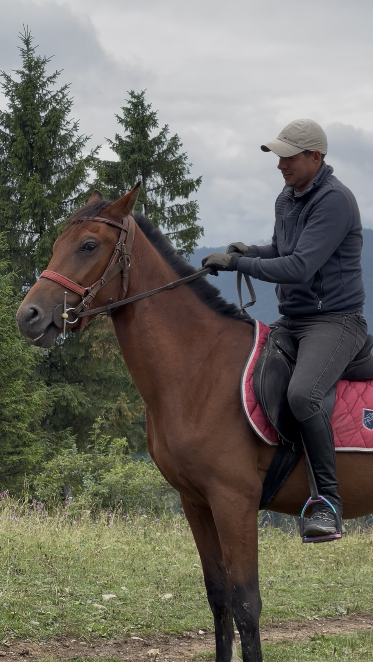 Echitatie pasul palma – Spirit 10 Echitatie pasul palma - Spirit 10